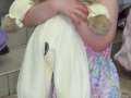 Miss All Canadian Pageants - Easter Pageant 2011