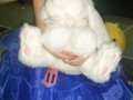 Miss All Canadian Pageants - Easter Pageant 2012